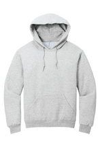 Load image into Gallery viewer, AHS Logo Hoodie